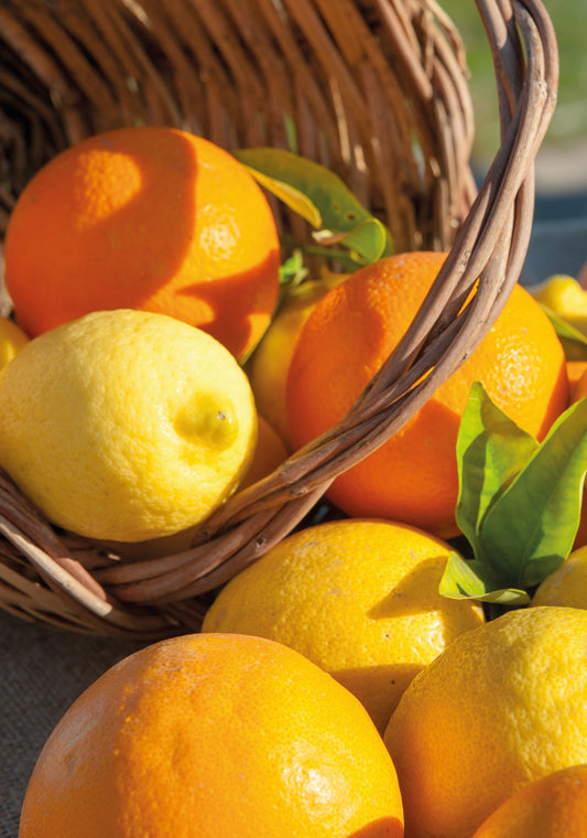 Las posibilidades educativas del limón y la naranja