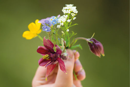 Las hojas y las flores en la primavera: una secuencia didáctica