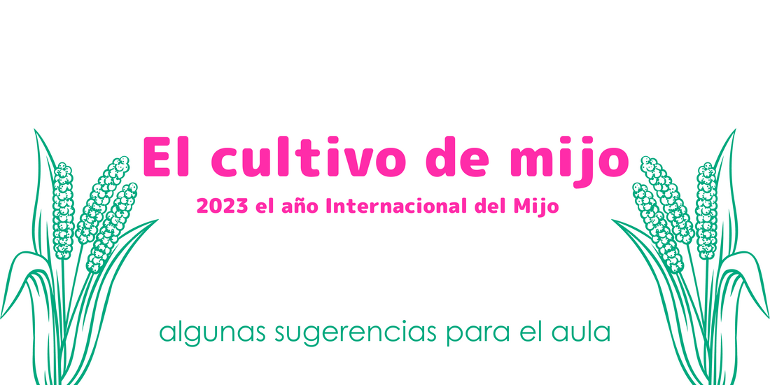 El cultivo de mijo: estrategia para brindar seguridad alimentaria desde una visión de género y desarrollo sostenible