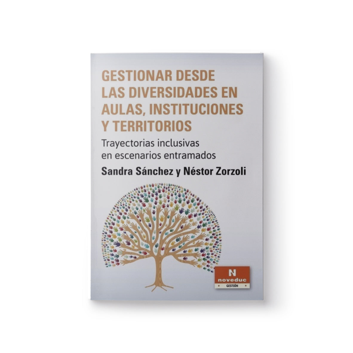 Gestionar desde las diversidades en aulas, instituciones y territorios