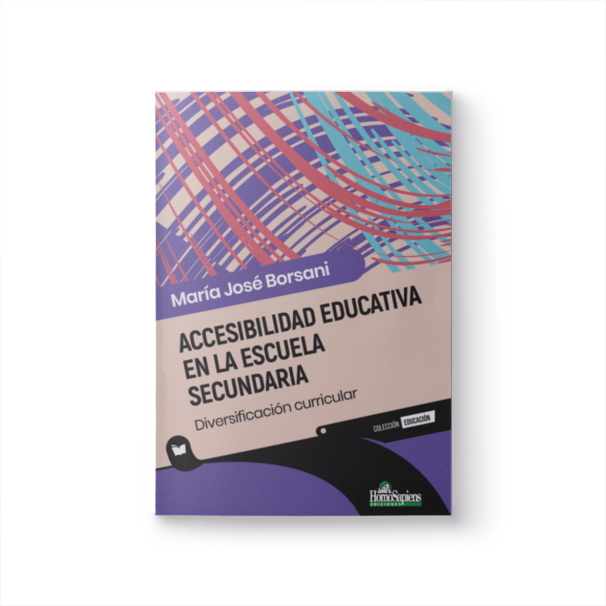 Accesibilidad educativa en la escuela secundaria