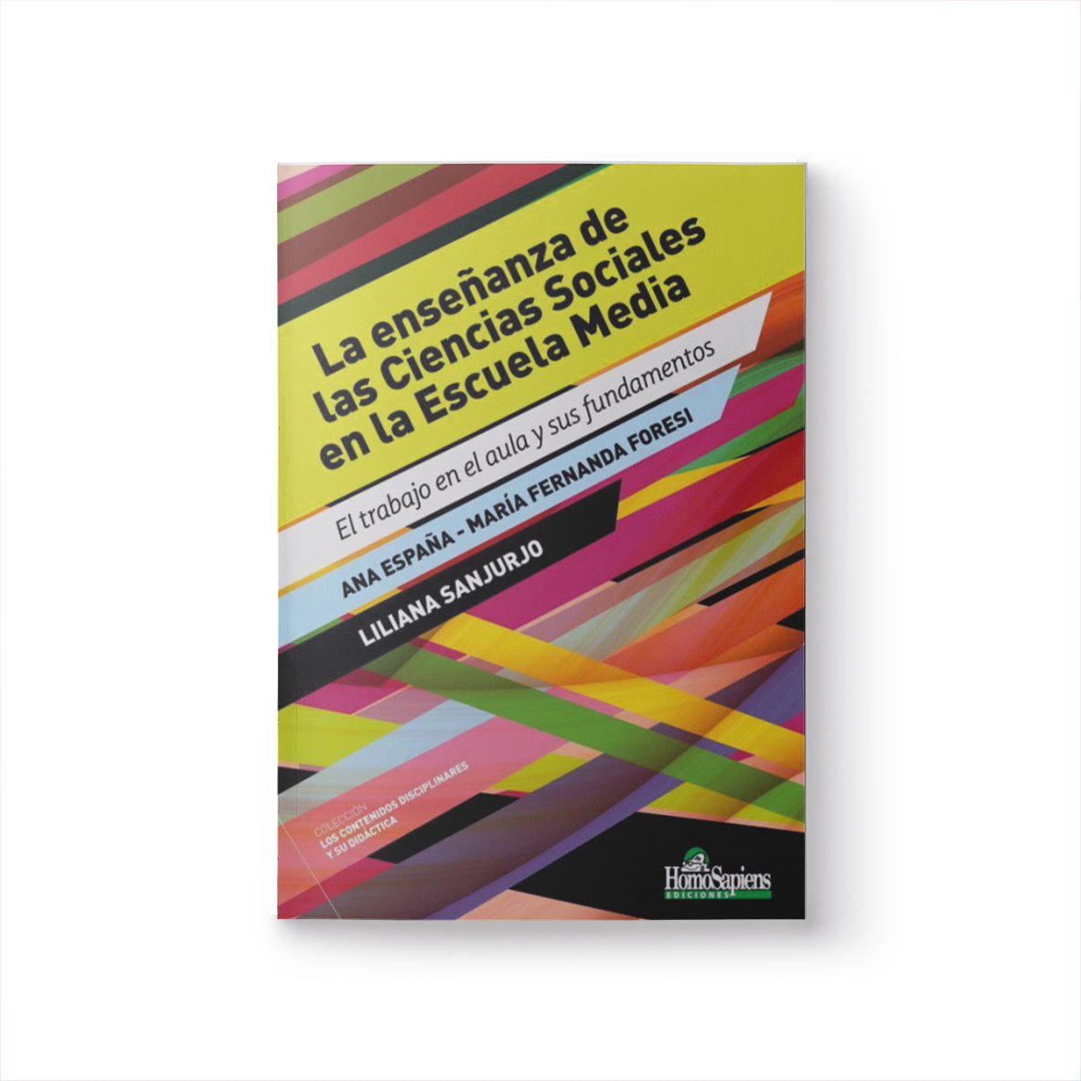 La enseñanza de las Ciencias Sociales en la Escuela Media