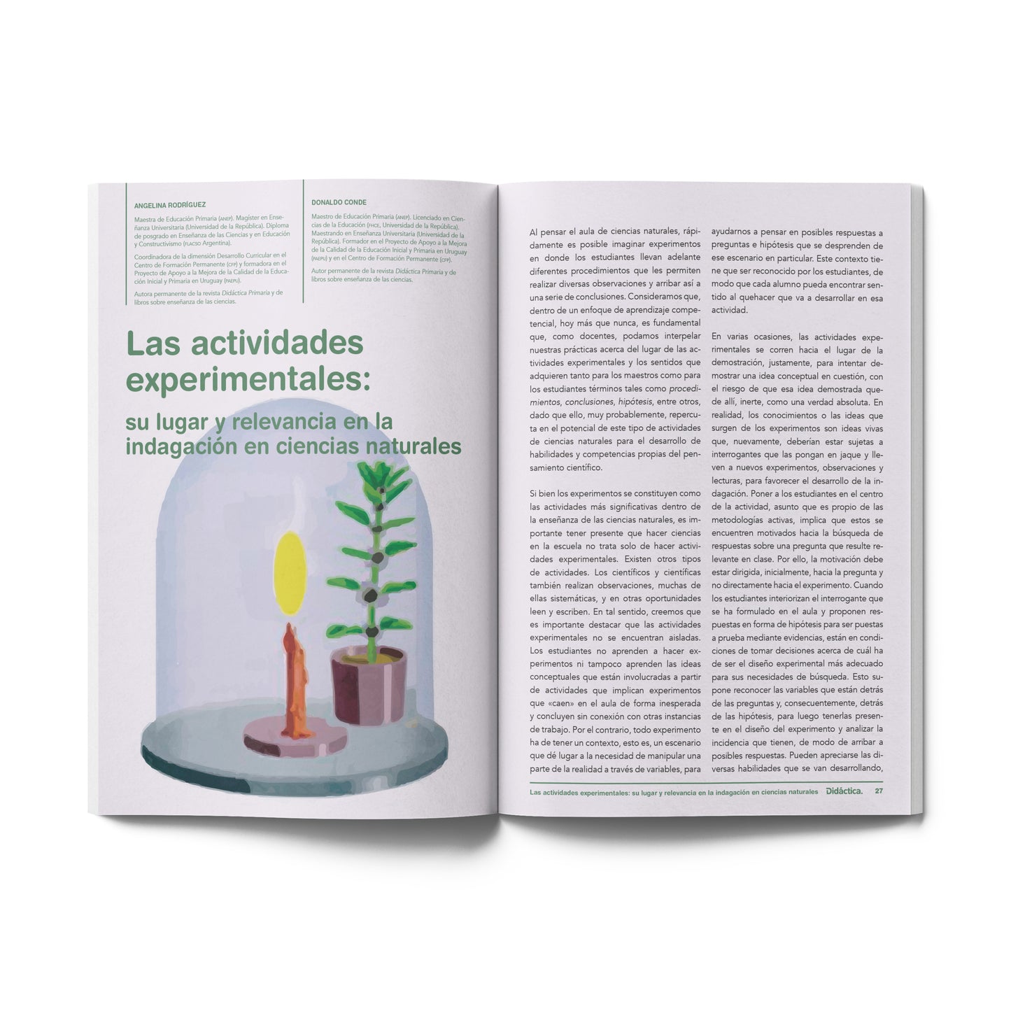 Suscripción a Didáctica Primaria 2025