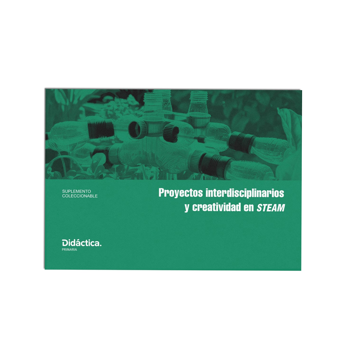 Suscripción a Didáctica Primaria 2025