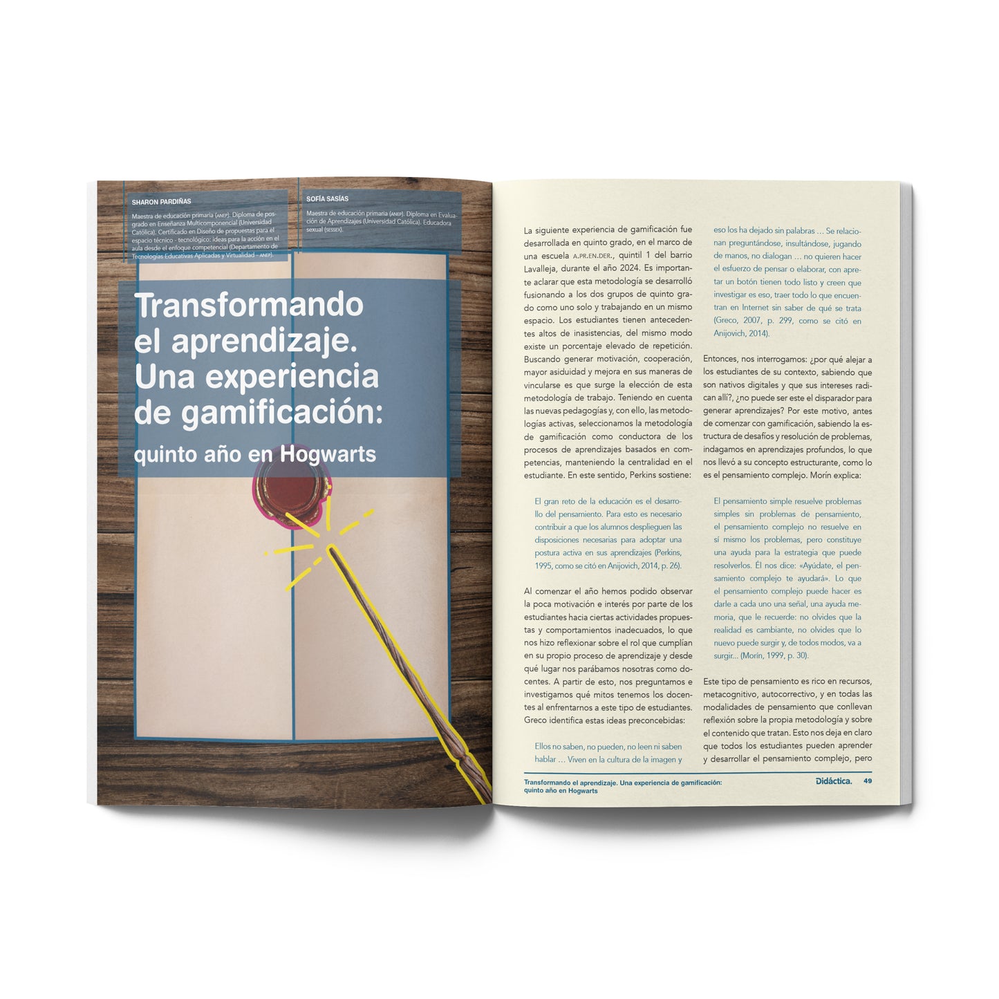 Suscripción a Didáctica Primaria 2025
