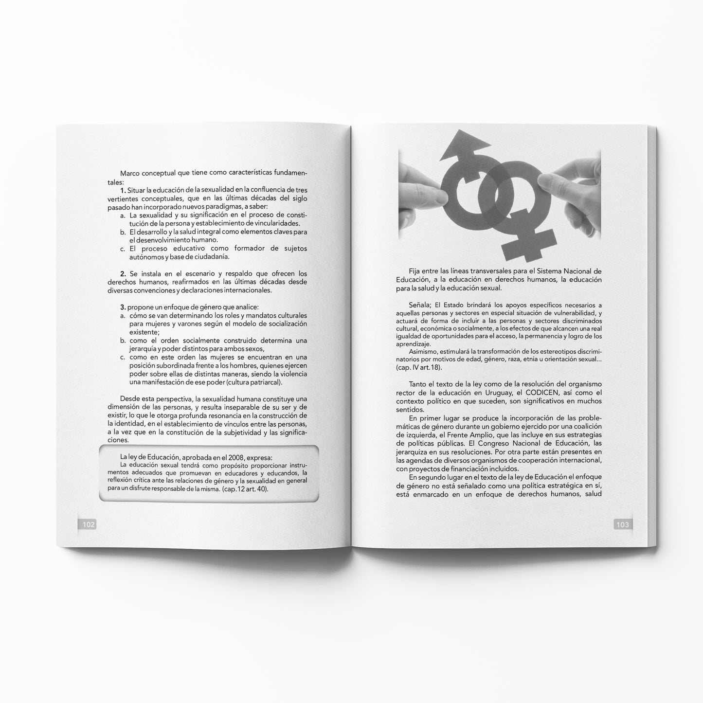 Jóvenes, su educación y desarrollo. Problemas transversales de la Educación Media