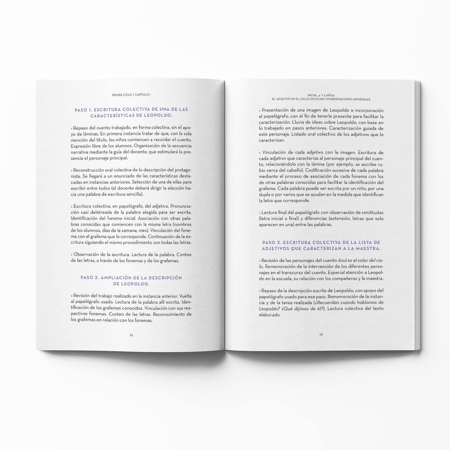 Proyecto, Lengua 6. Las proyecciones de un mismo texto