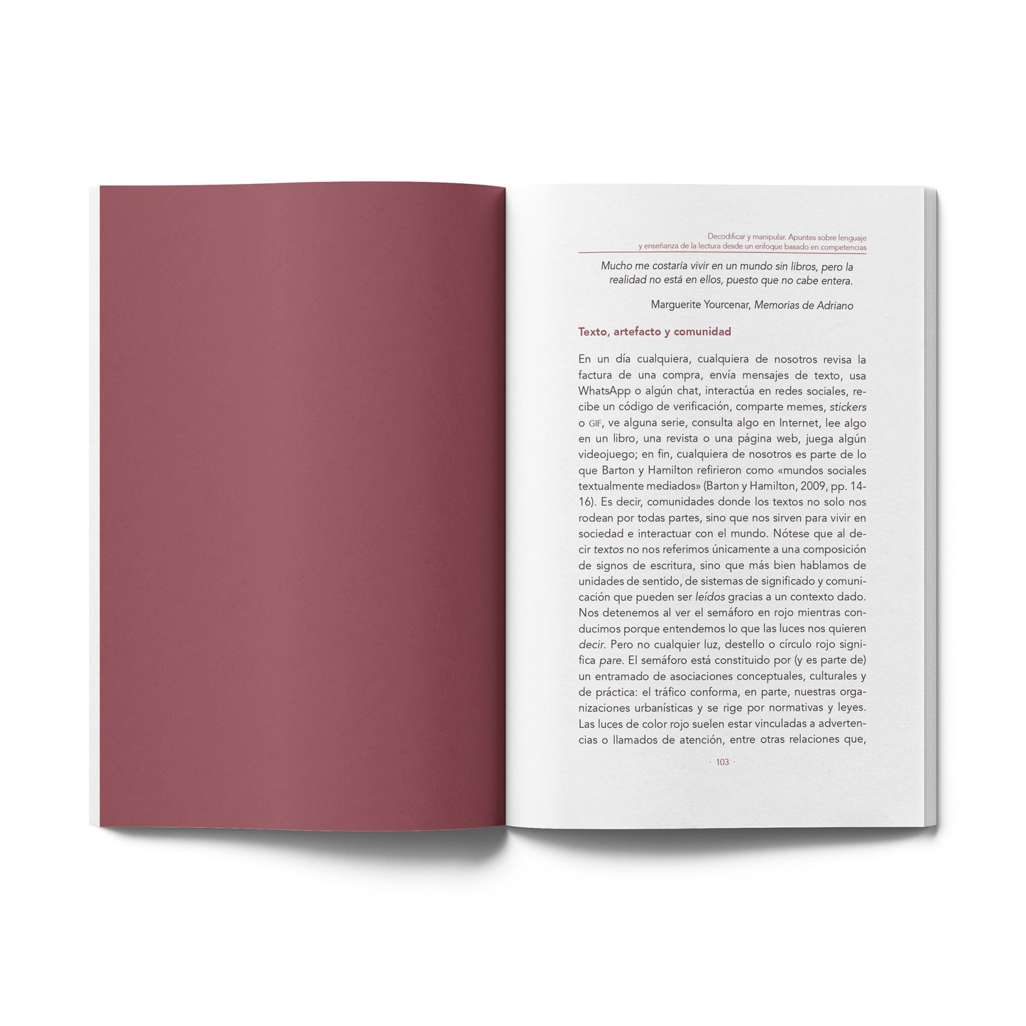 Aprendizajes y competencias. Propuestas desde diferentes campos del conocimiento. Primaria