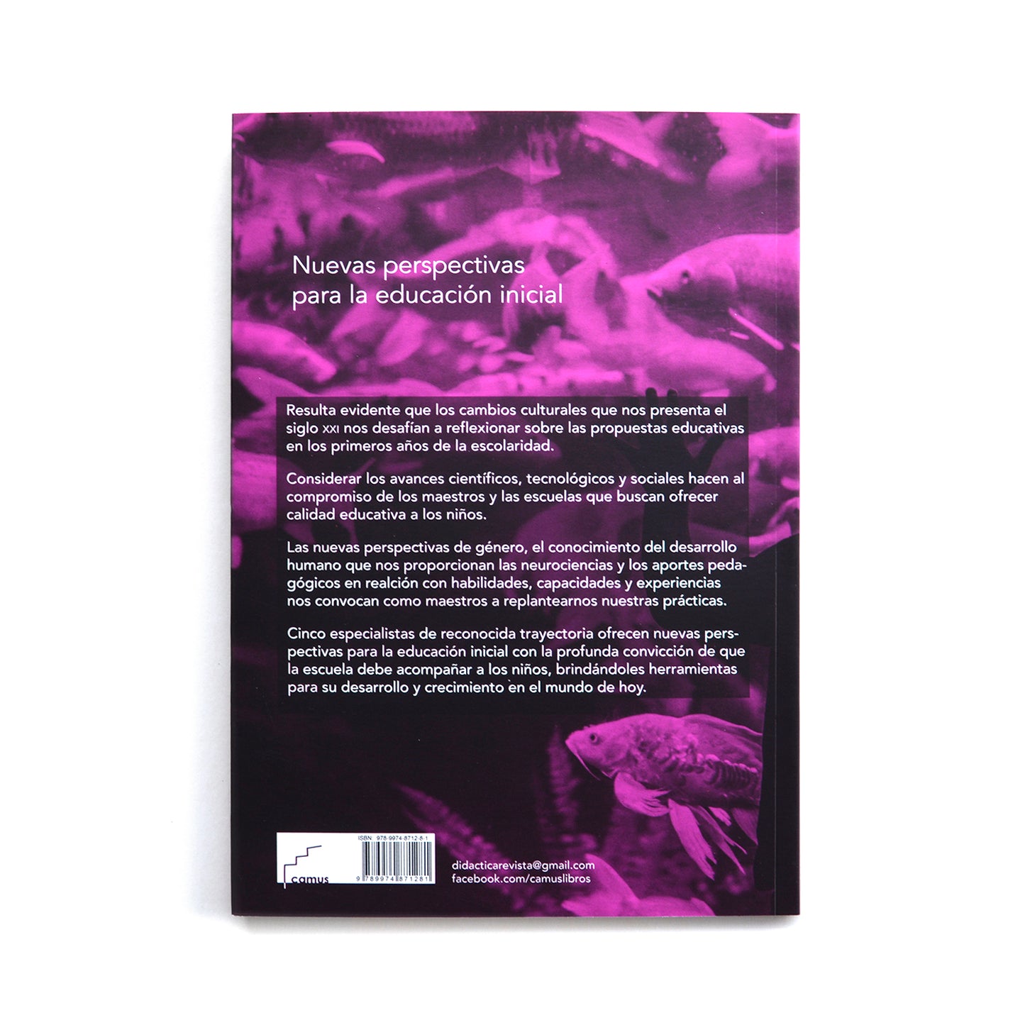 Nuevas perspectivas para la educación inicial: neurociencia, género, capacidades, enseñanza por experiencias y multitarea