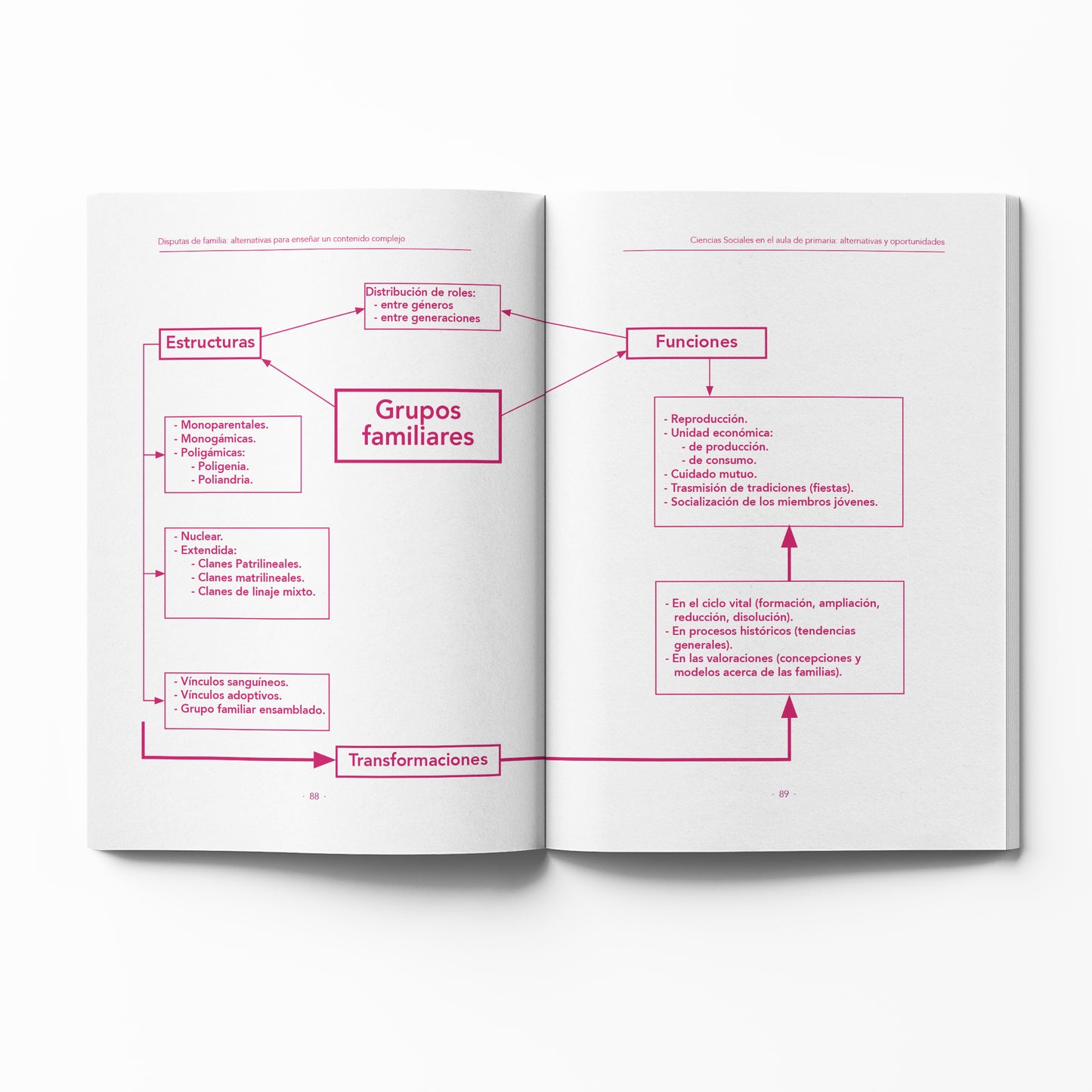 Ciencias Sociales en el aula de primaria: alternativas y oportunidades