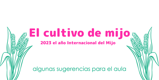 El cultivo de mijo:  estrategia para brindar seguridad alimentaria desde una visión de género y desarrollo sostenible