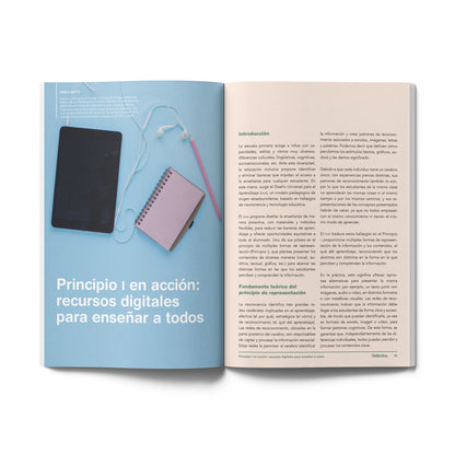 Suscripción a Didáctica Primaria 2025