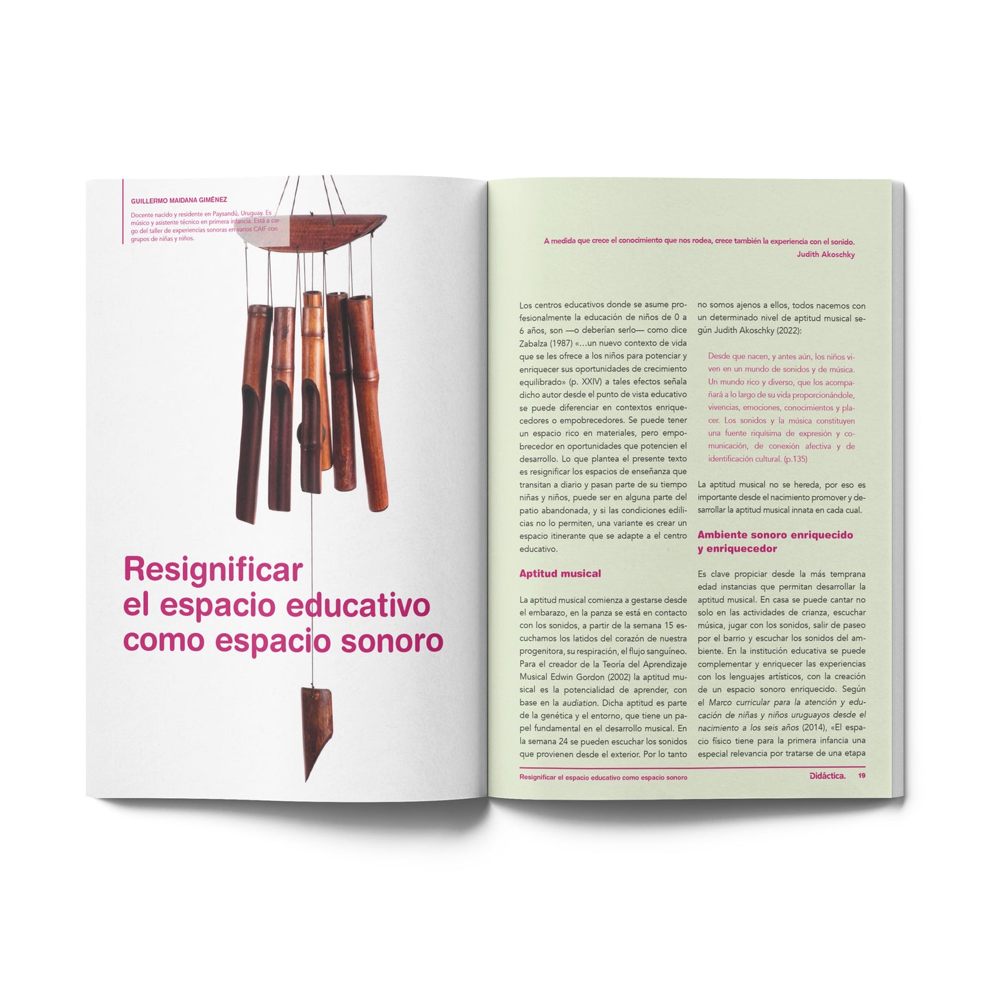 Suscripción a Didáctica Inicial y Primaria 2025