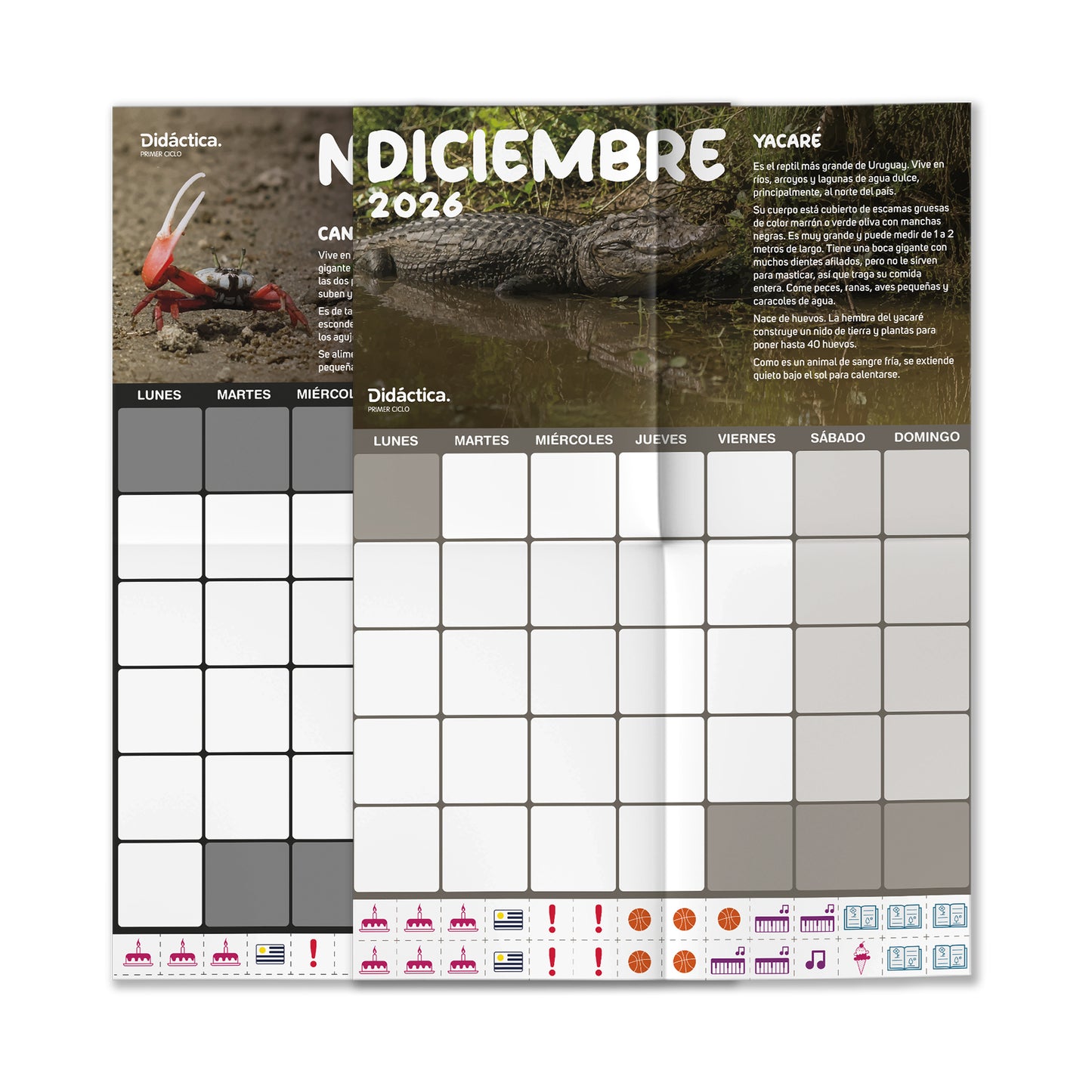 Suscripción a Didáctica Primer Ciclo 2026