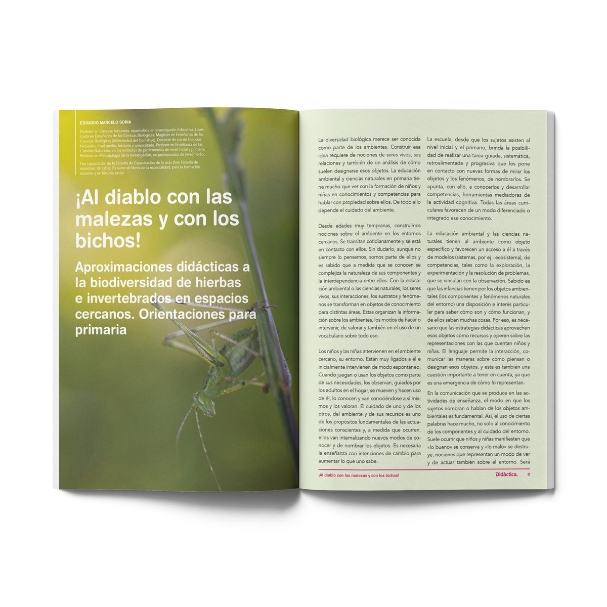 Suscripción a Didáctica Primaria 2026